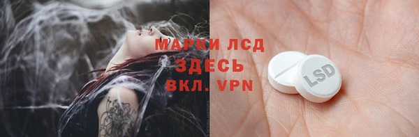ПСИЛОЦИБИНОВЫЕ ГРИБЫ Богданович