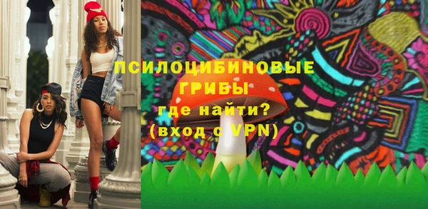 молекула духа Белоозёрский