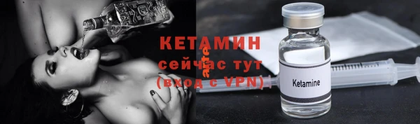 гидра Богородицк