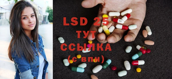 ПСИЛОЦИБИНОВЫЕ ГРИБЫ Богданович