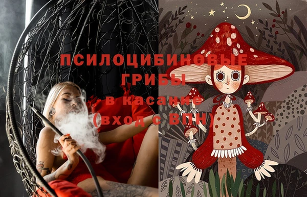 соль ск Снежинск
