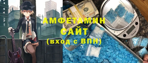гидра Богородицк
