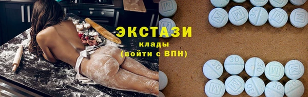 гидра Богородицк
