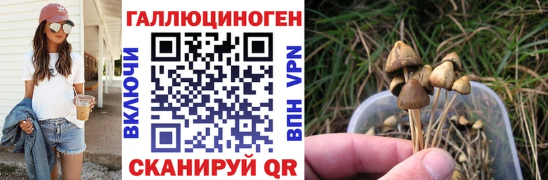 Галлюциногенные грибы прущие грибы  Губкинский 