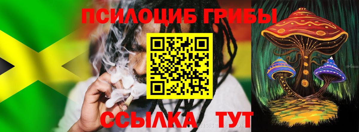 Губкинский  Псилоцибиновые грибы Psilocybine cubensis  Вход с VPN 